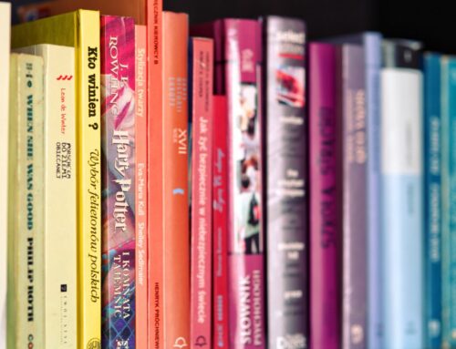 Cinc llibres per acompanyar les vacances d’hivern