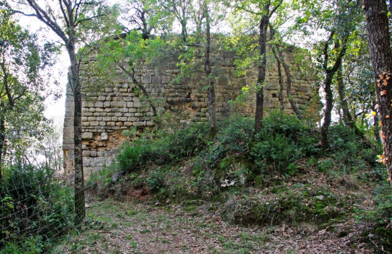 1.INF_Domus del pi excursions