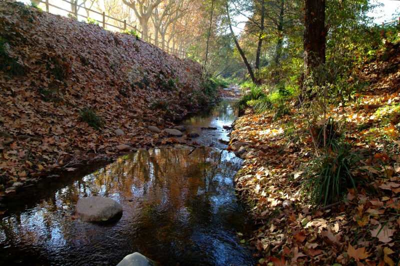 4.Riera de Vallfornès excursions