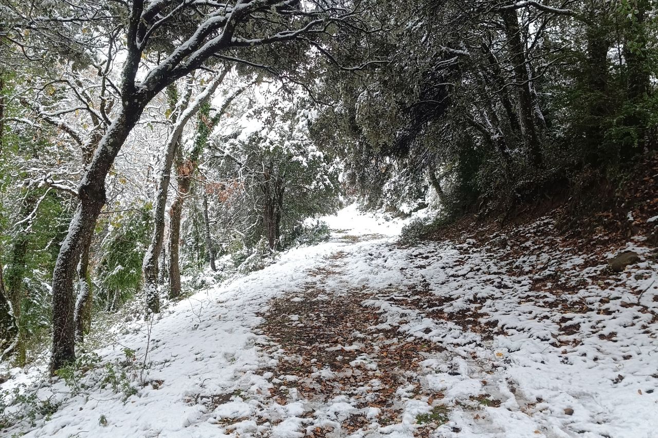 desembre