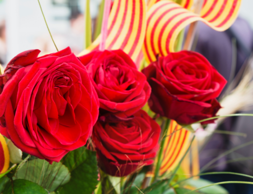 S’obre el concurs de Sant Jordi de la Piqueta!