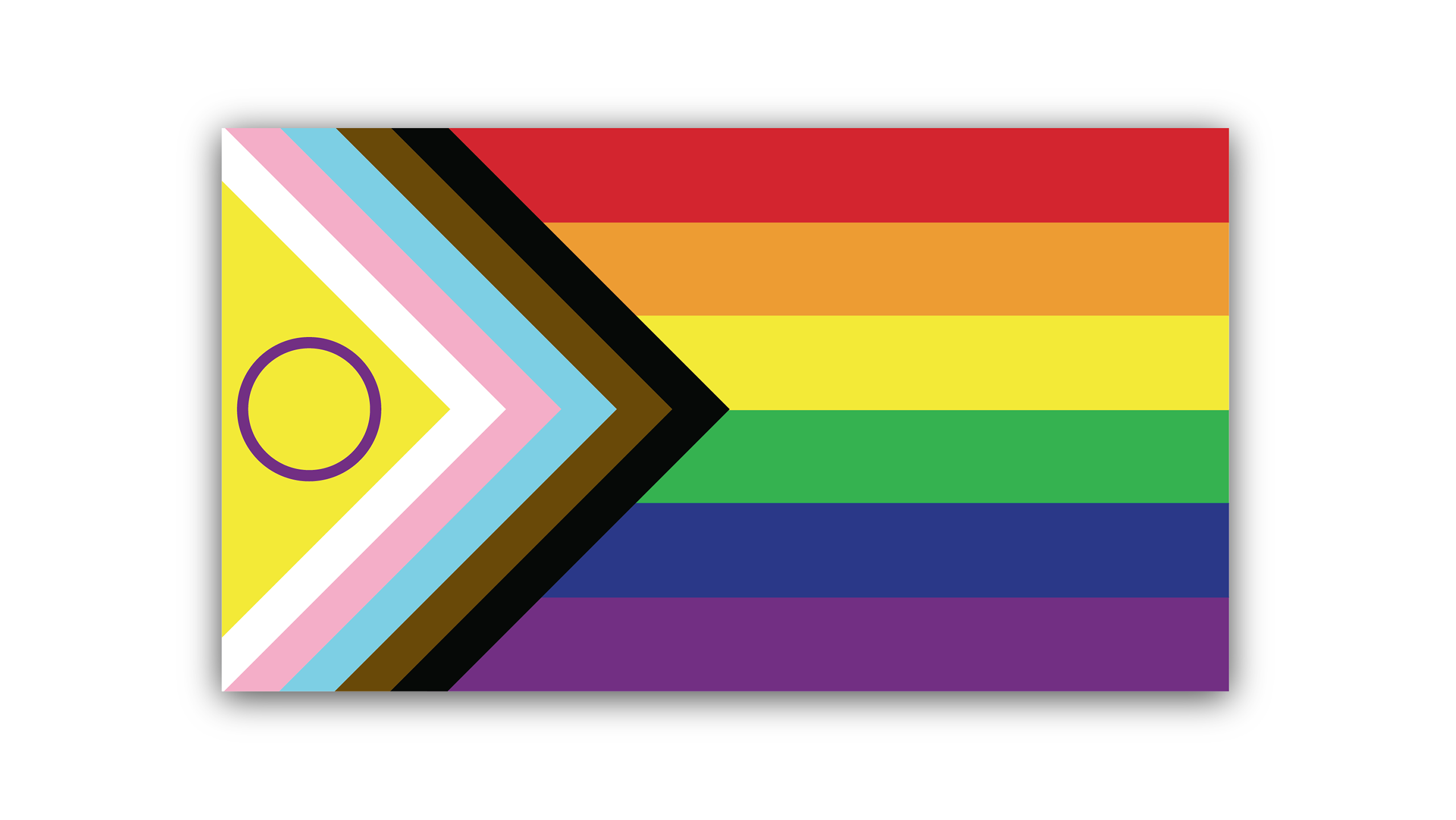 bandera lgtbiq+