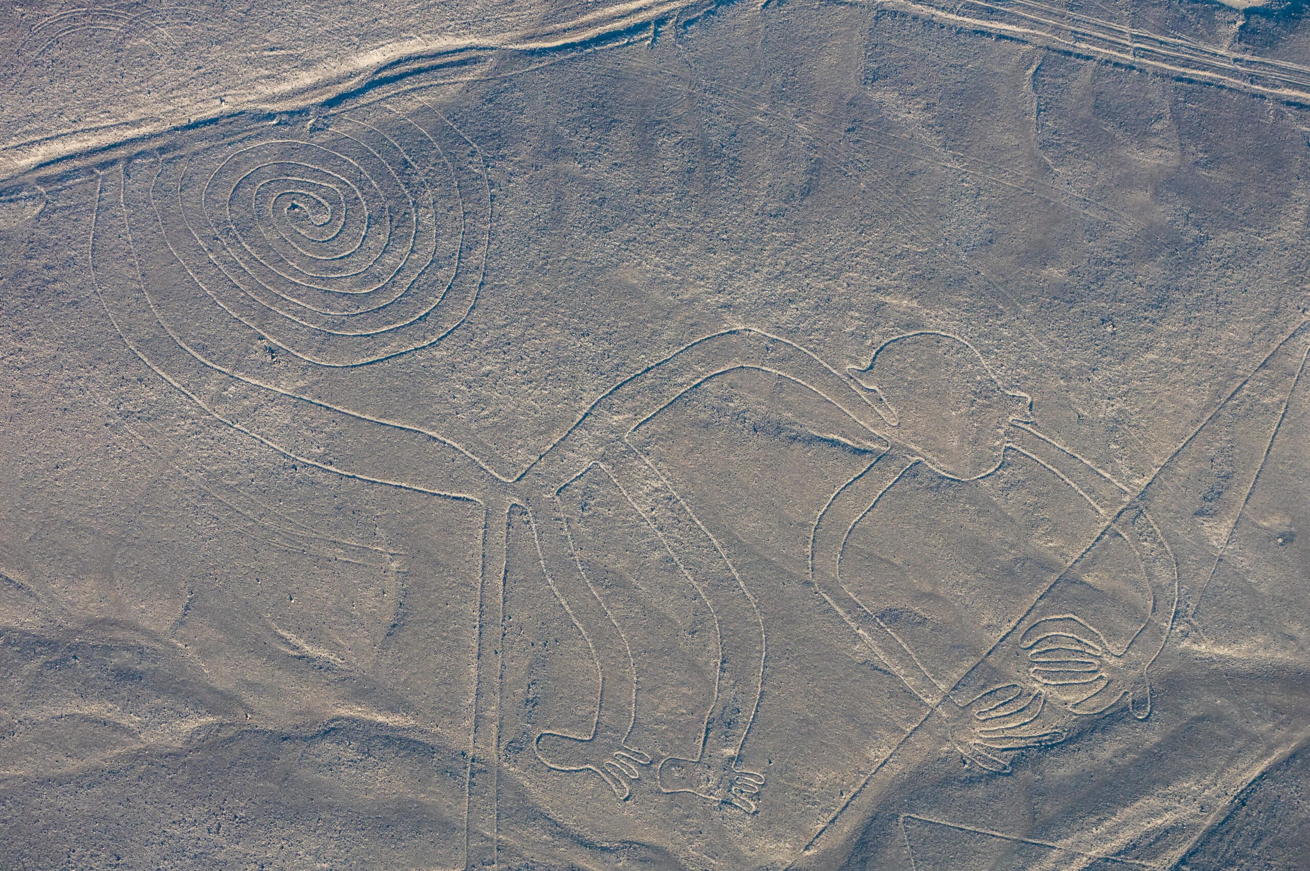 línies de Nazca