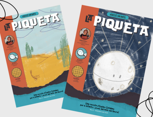 Vols que el teu dibuix sigui la nova portada de La Piqueta?